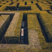 Bild: Rafif Prawira – Unsplash